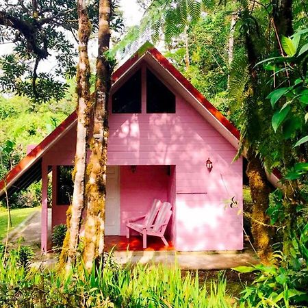 Cabanas Las Orquideas Zapotal  Dış mekan fotoğraf