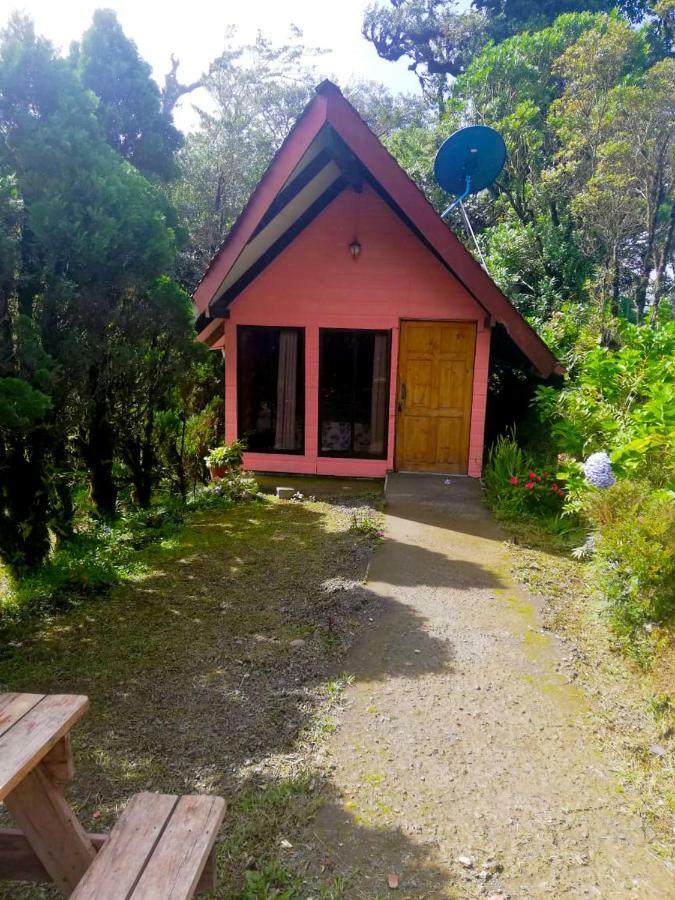 Cabanas Las Orquideas Zapotal  Oda fotoğraf