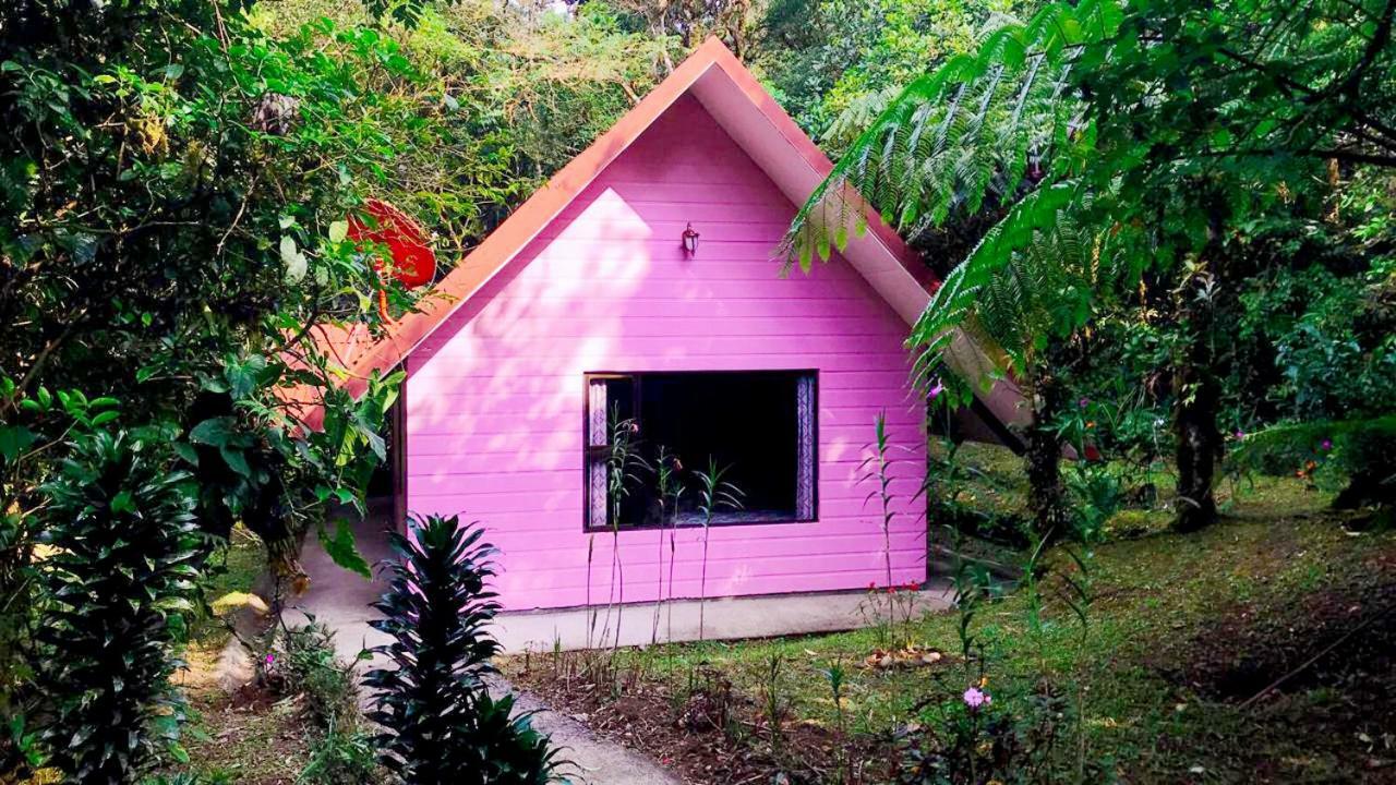 Cabanas Las Orquideas Zapotal  Oda fotoğraf