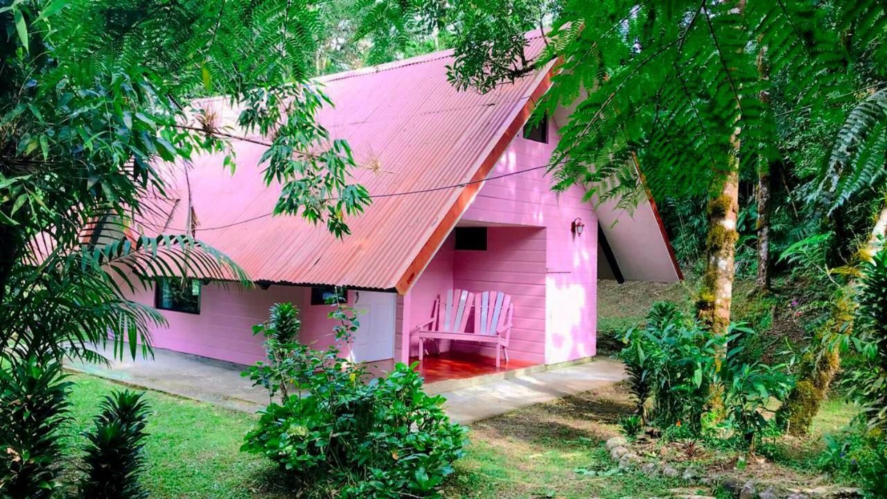 Cabanas Las Orquideas Zapotal  Oda fotoğraf