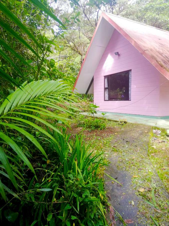 Cabanas Las Orquideas Zapotal  Oda fotoğraf