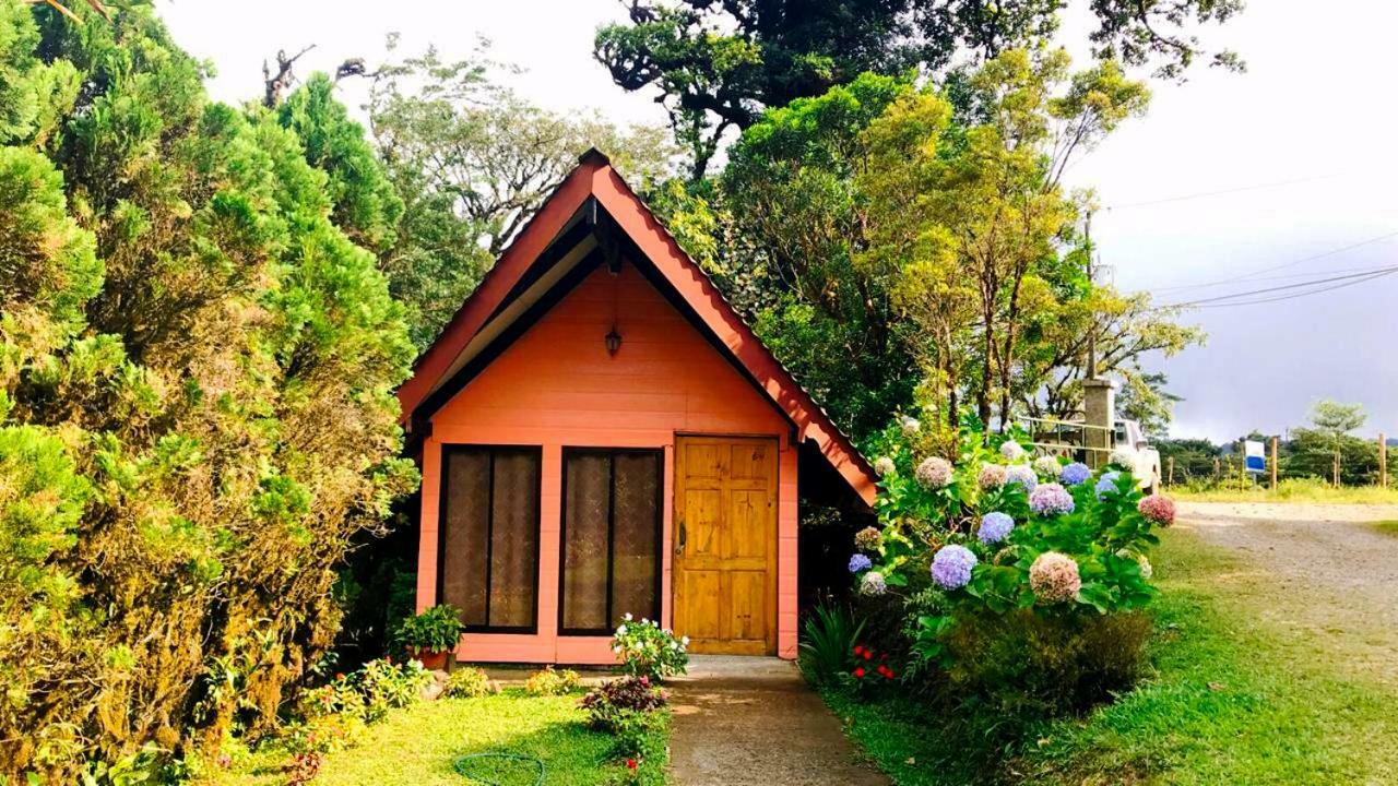 Cabanas Las Orquideas Zapotal  Oda fotoğraf