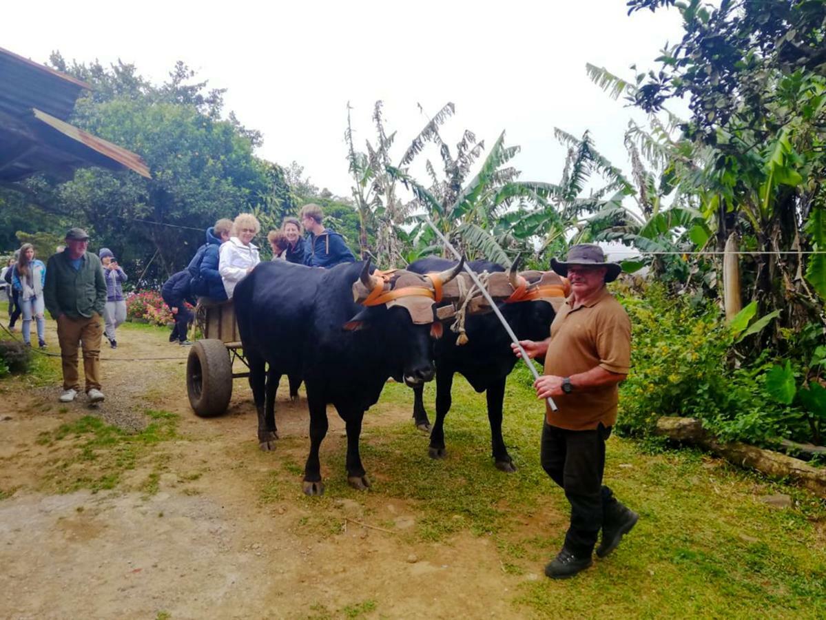 Cabanas Las Orquideas Zapotal  Dış mekan fotoğraf
