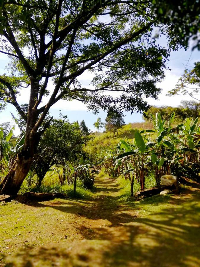 Cabanas Las Orquideas Zapotal  Dış mekan fotoğraf