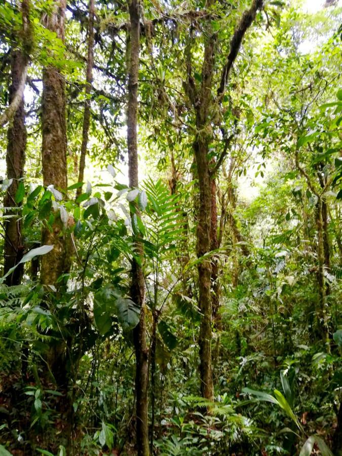 Cabanas Las Orquideas Zapotal  Dış mekan fotoğraf