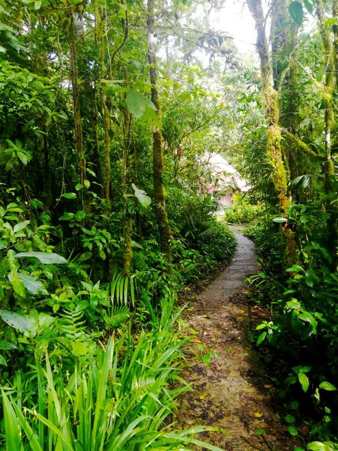 Cabanas Las Orquideas Zapotal  Dış mekan fotoğraf
