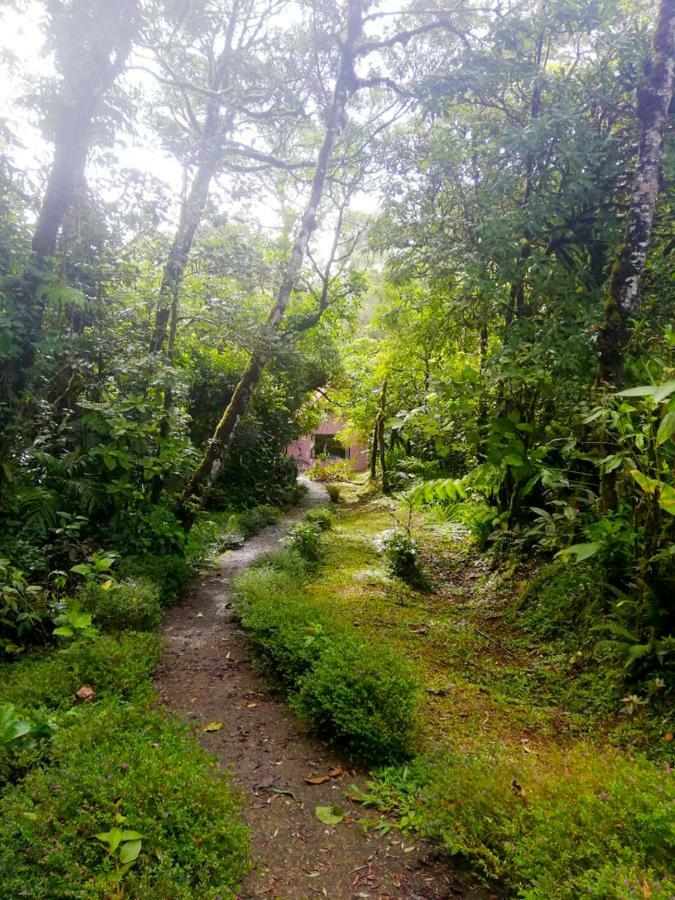 Cabanas Las Orquideas Zapotal  Dış mekan fotoğraf